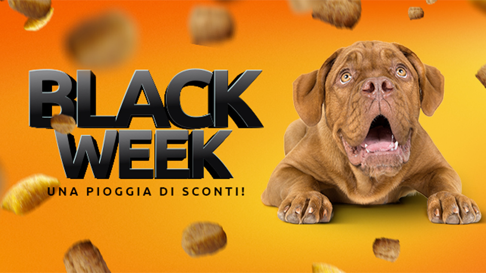 Da lunedì 21 pioggia di sconti: parte la Black Week di Fidò